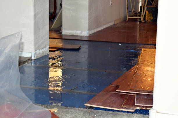 Professional Flood Damage Repair technician working in Pfafftown, NC